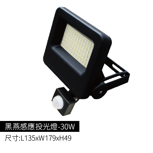 黑燕感應投光燈-30W