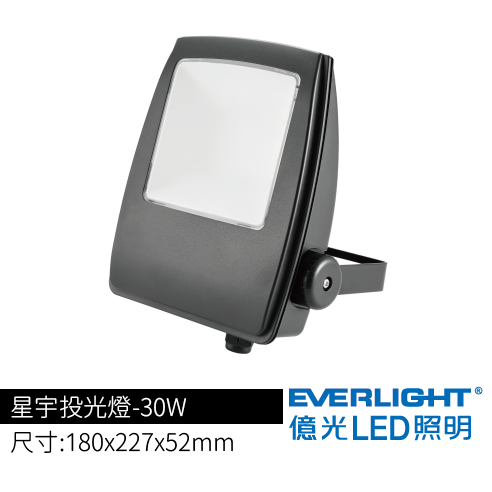 星宇投光燈-30W