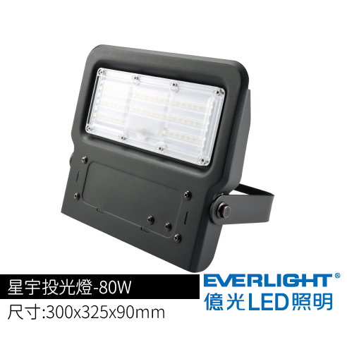 星宇投光燈-80W