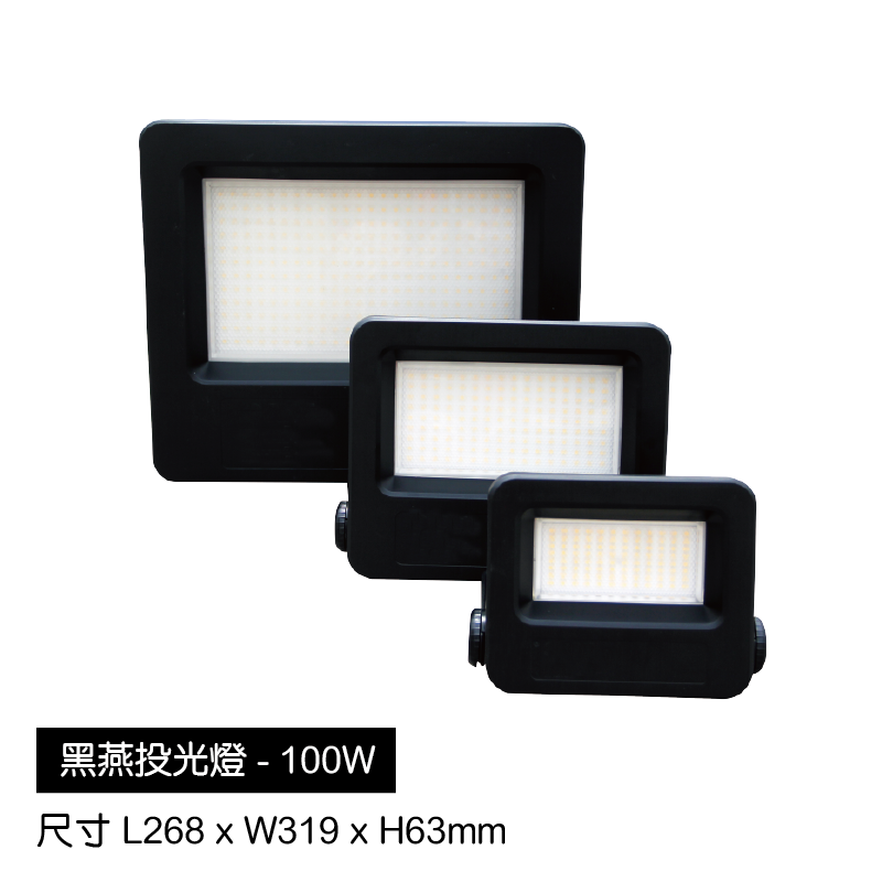 [100W]LED薄型晶鑽COB投光燈