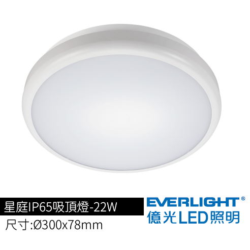 星庭IP65吸頂燈-22W